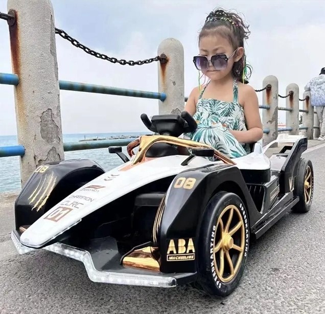 Electric Go Karts ride on car